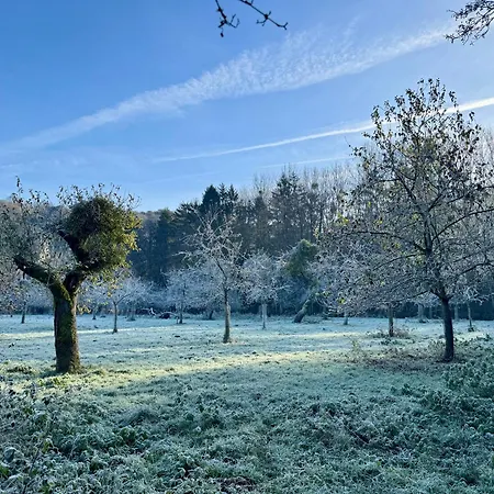 Appartement Les Gabelous - Micro-gites - Viroinval *