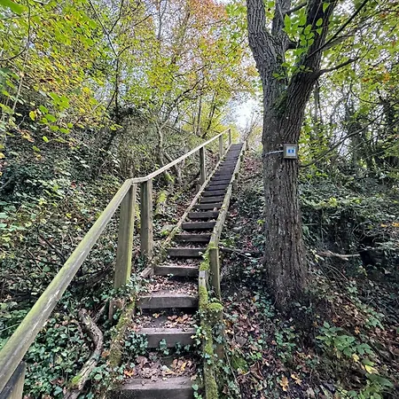 Les Gabelous - Micro-gites - Viroinval *