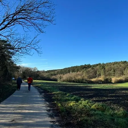 Les Gabelous - Micro-gites - Viroinval Appartement Dourbes