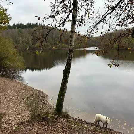 Les Gabelous - Micro-gites - Viroinval Appartement *