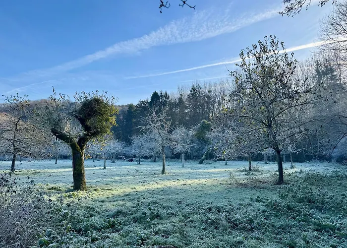 Διαμέρισμα Les Gabelous - Micro-gites - Viroinval *