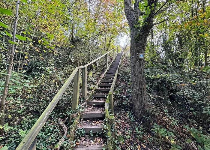 Les Gabelous - Micro-gites - Viroinval *