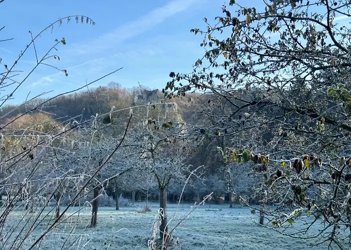 Les Gabelous - Micro-gites - Viroinval * Dourbes