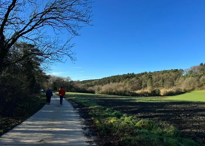 Les Gabelous - Micro-gites - Viroinval Διαμέρισμα Dourbes