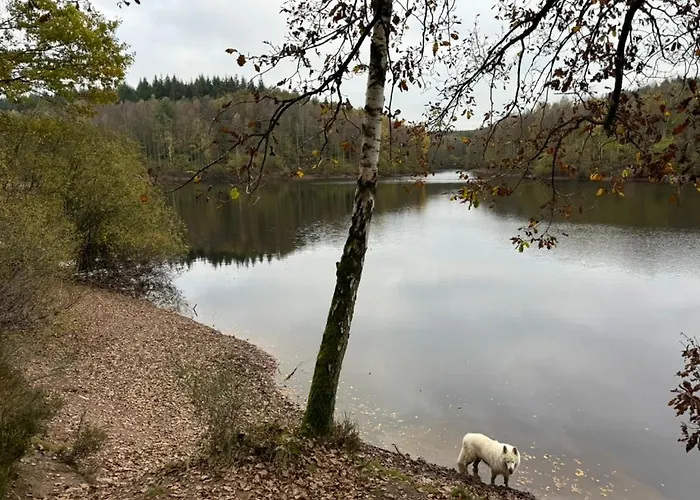 Les Gabelous - Micro-gites - Viroinval Διαμέρισμα *